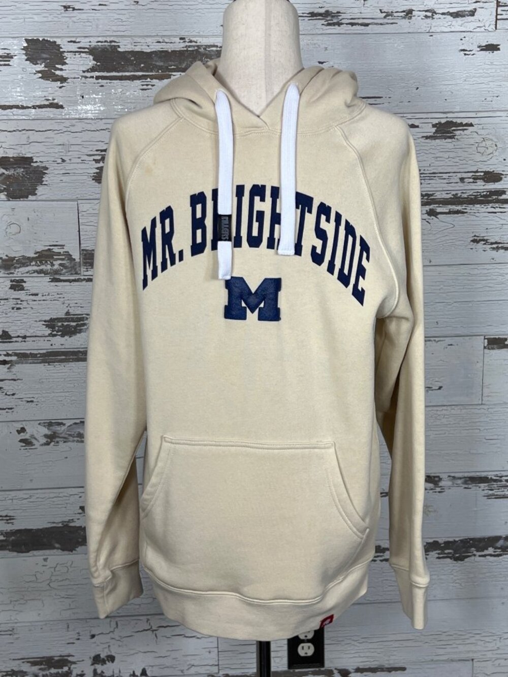 SPORTIQE Mr Brightside Olsen Hooded Sweatshirt in Bone Sz M NWT
